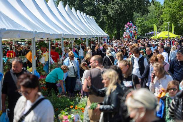 Zagreb: Sunce obasjalo Flora Art