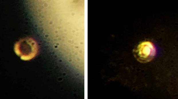 A combination of still photos taken from video shows hydrogen magnified at different stages of compression, from gas form to metallic