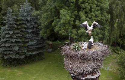 Česi su ponosni na rodino gnijezdo iz 1864. godine