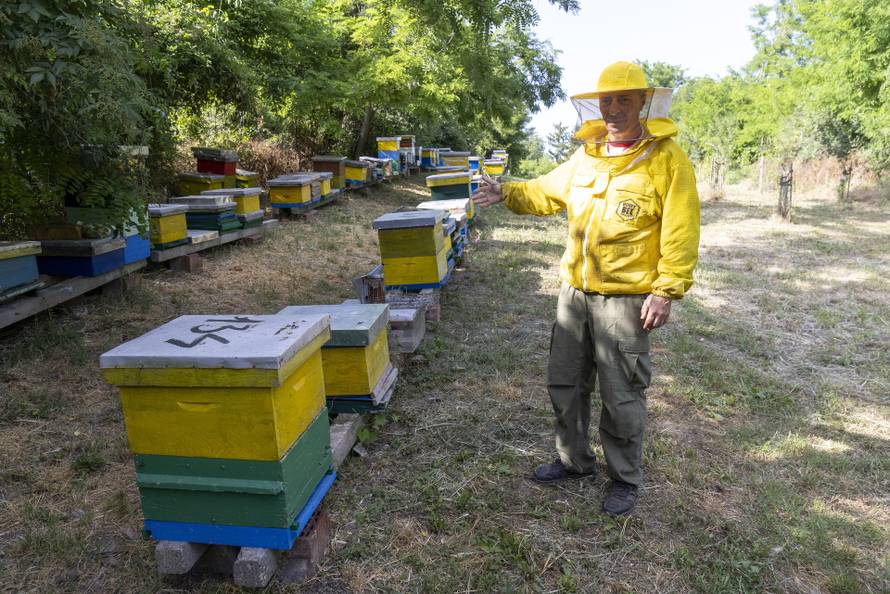 Vukovar: Pomor pčela na OPG Dumendžić