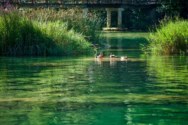 FOTO Popravite si dan ovim prekrasnim prizorima iz NP Krka