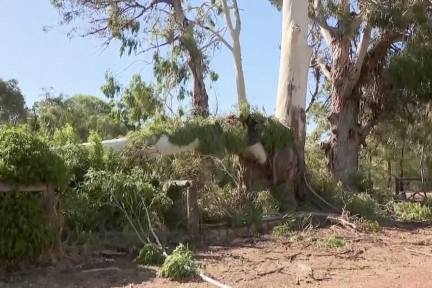 Severe storm leaves trail of damage in Australia's west