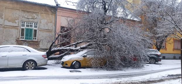 FOTO Osim snijega, u Osijeku palo i stablo na parkirani auto