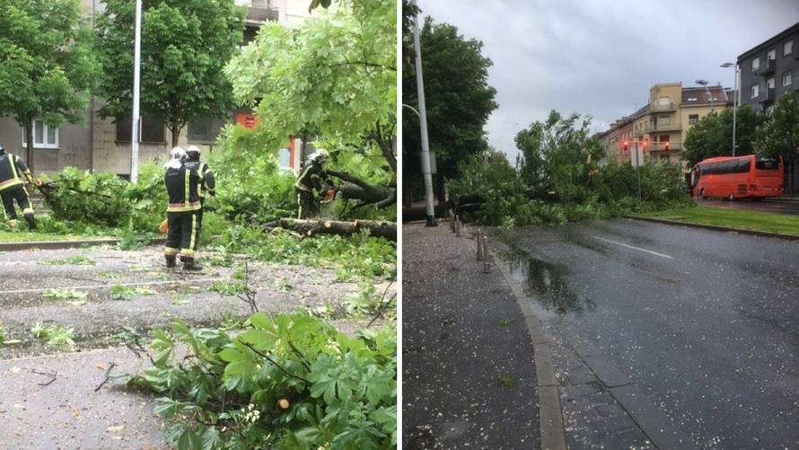 Vatrogasci rade od ranog jutra: Vjetar srušio stablo na cestu...