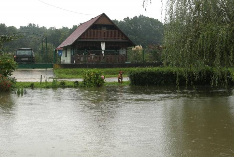 Robert Anić/PIXSELL