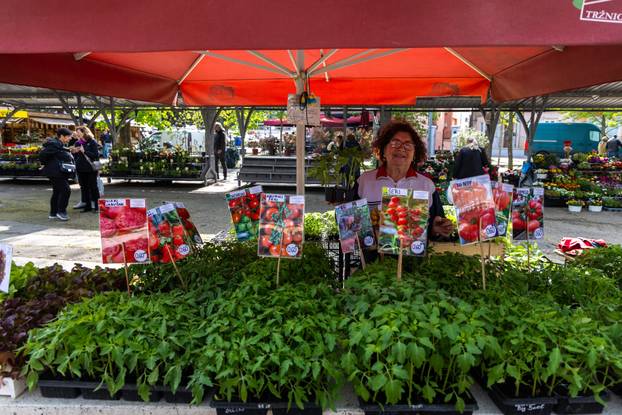 Pula: Sadnice na pulskoj tržnici