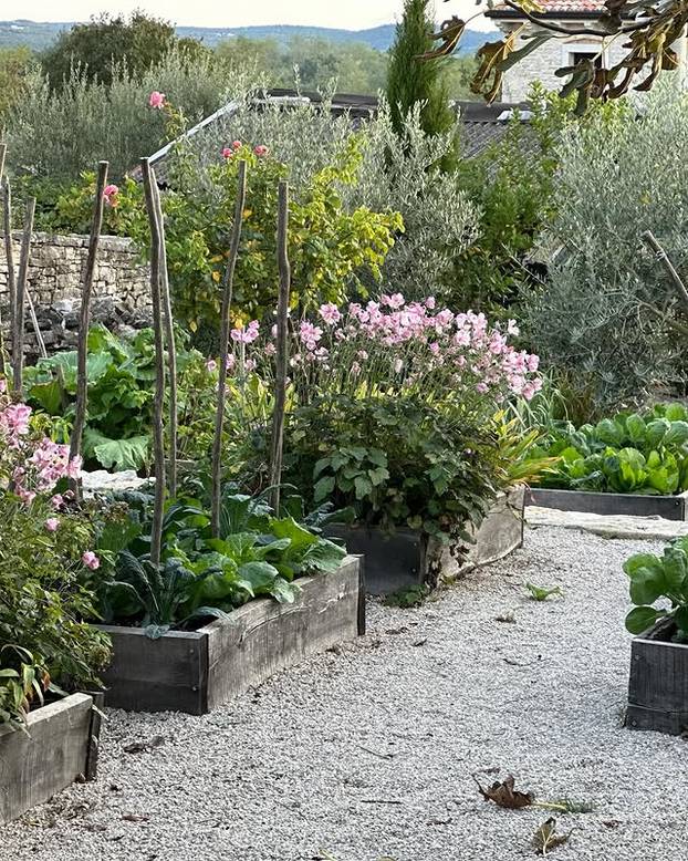 FOTO Tajne kralja cvjetnih aranžmana: 'S Majkom Terezom sam jeo uskršnji doručak'