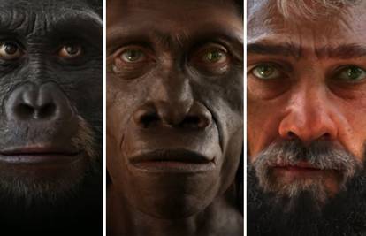 Izgled ljudskog lica od nastanka svijeta do danas - koža je postajala sve mekša i nježnija