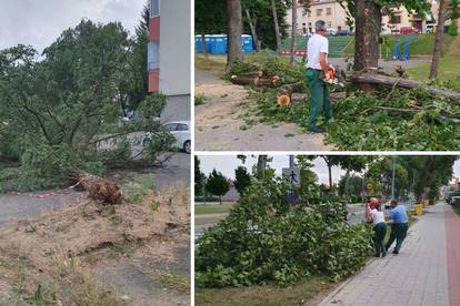 FOTO Nevrijeme u Karlovcu: Jak vjetar u par minuta napravio kaos, porušena brojna stabla