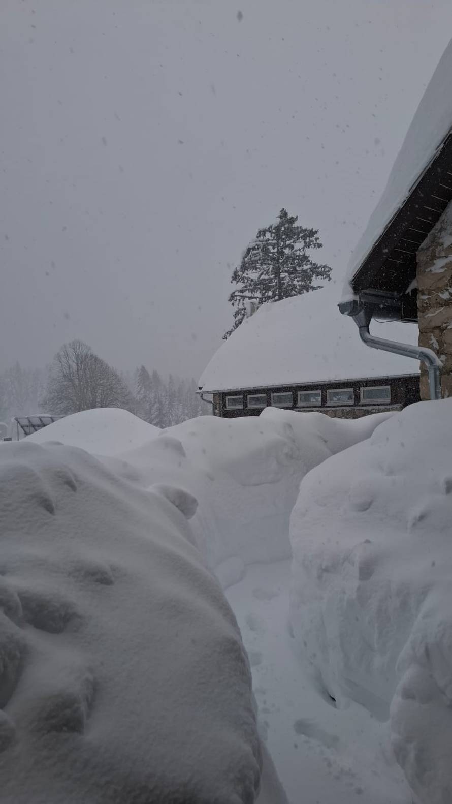 VIDEO Snijeg zatrpao lugarnicu u Čorkovoj uvali: 'Tu sam već dva dana, potpuno odsječen'