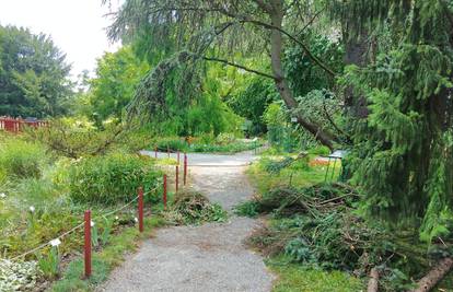 Botanički vrtu u Zagrebu treba pomoć nakon oluje: Kupite koju mladu sadnicu ili darujte novac