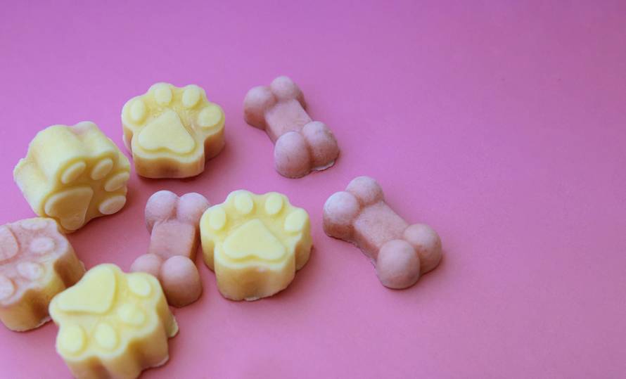 I njima je vruće, osvježite ih zdravo: Hladne slastice za pse