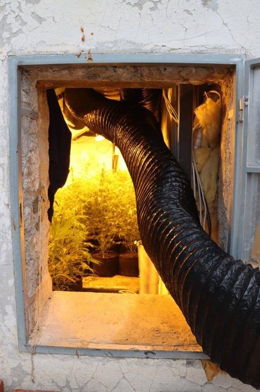 FOTO Kakav zimmer frei. Tavan kraj Jablanca pretvorili u labos za uzgoj trave. Evo što su imali