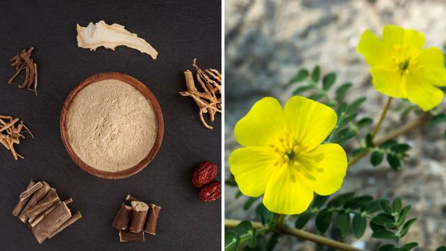 Ashwagandha i babin zub su odlični afrodizijaci za oba spola