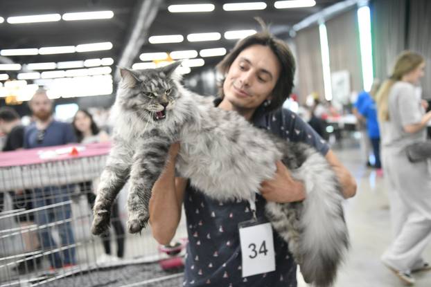 Zagreb: Međunarodna izlozba mačaka privukla brojne posjetitelje u Family Mall