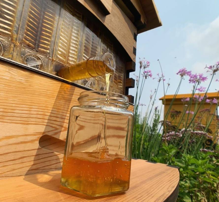 Iz košnice u staklenku: Samo odvrnite pipu i uspite svoj med