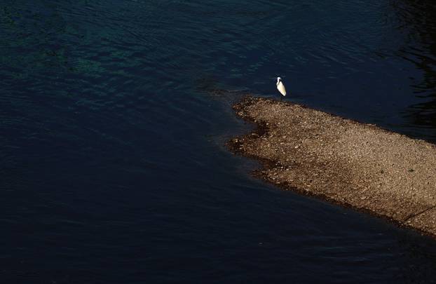 Zagreb: Kajakašice i kajakaši uživaju u Savi čiji je nizak vodostaj otkrio sprudove