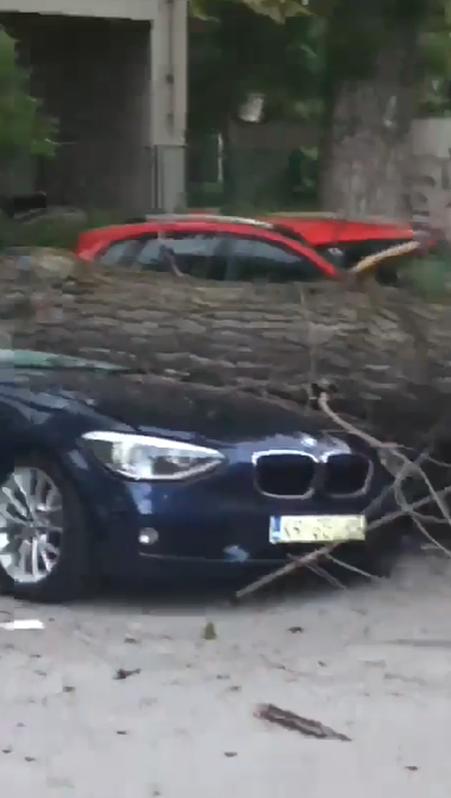 Stablo uništilo auto, drugo palo na krov kuće: 'Čula sam snažan udarac, mislila sam da je grom'