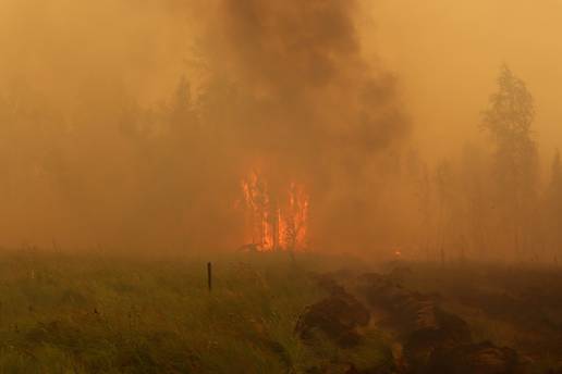 Šumski požari u ruskoj Jakutiji prouzročili rekordne emisije CO2