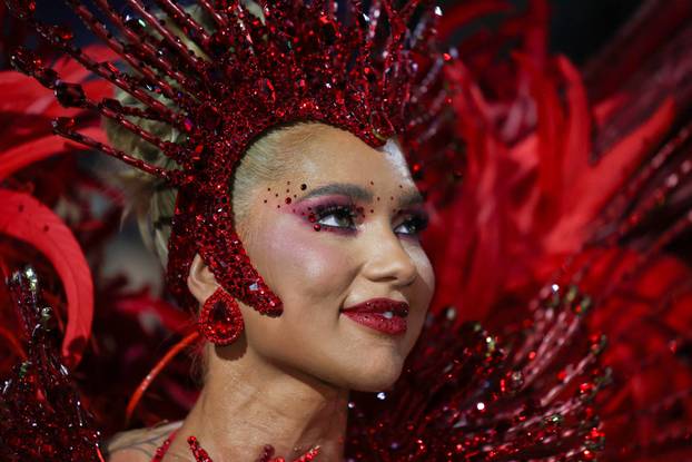 Carnival in Rio de Janeiro