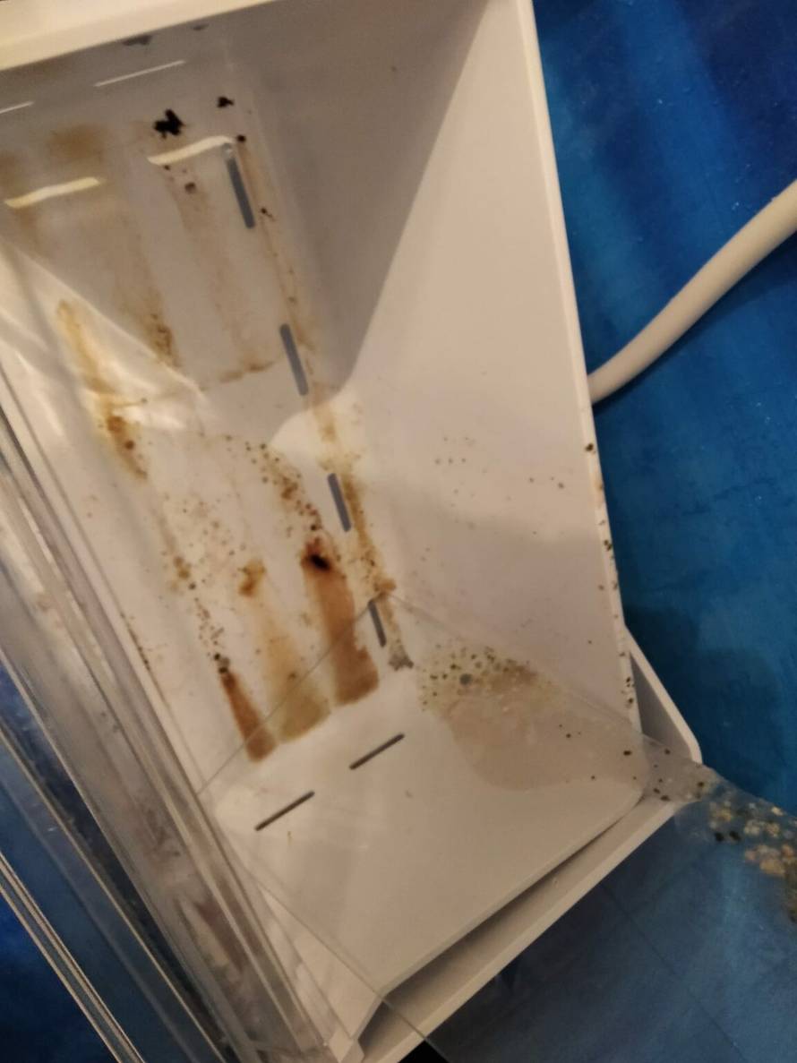 Podstanari iz pakla: 'Uništili su mi stan, pobjegli bez plaćanja. Na kraju su mi još i prijetili...'