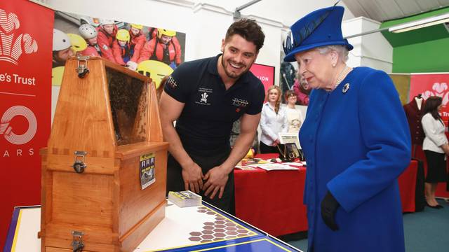 Queen Elizabeth II is shown the Queen Bee in a swarm of 30,000 by Peter Higgs of PGH Pest Control (a Prince's Trust Award Winner) during her visit to mark the 40th Anniversary of the Prince's Trust in Kennington