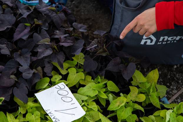 Zagreb: Brojni građani posjetili Floraart na Bundek