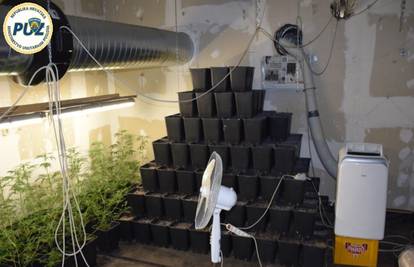Uzgajali 'travu': U laboratorij kod Zeline uložili 70.000 eura