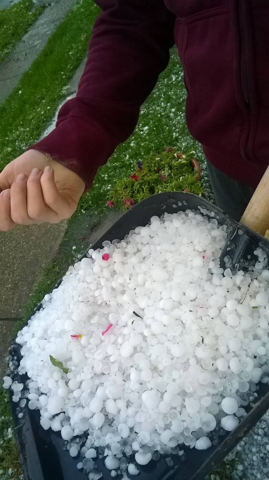 Obilne kiše ponovno potopile Crikvenicu, Rab, Kozari Bok...