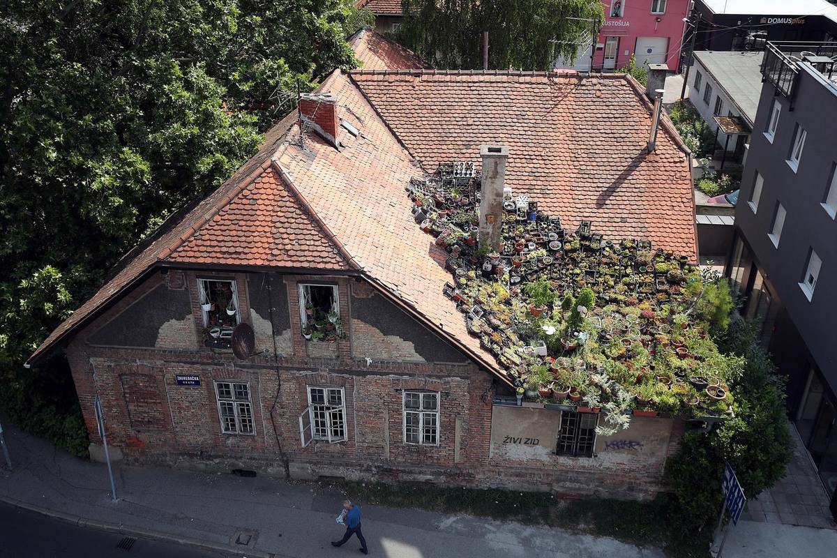Tajni vrt u Zagrebu raste sam: Krov krasi mnoštvo čuvarkuća