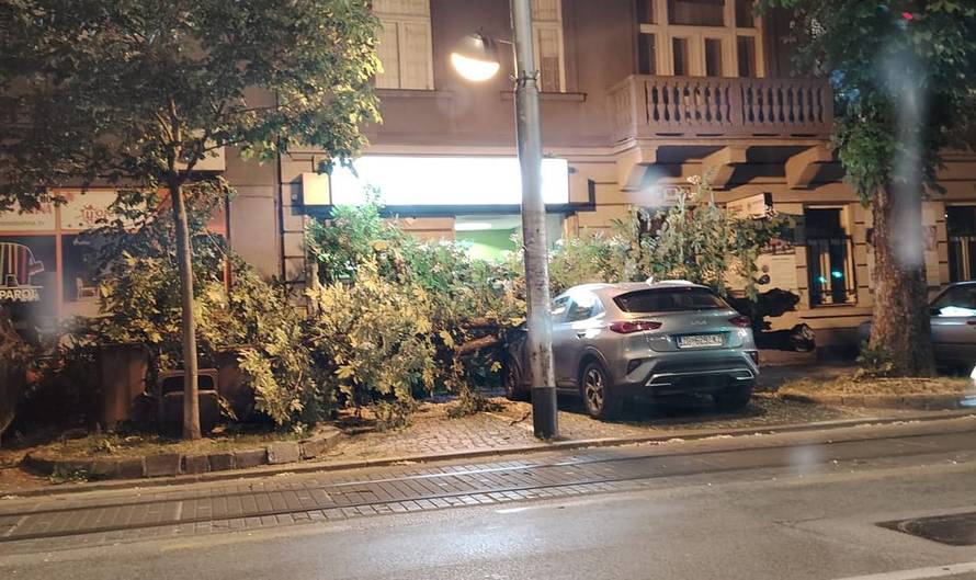 FOTO Ogromno stablo palo na auto i pločnik u Zagrebu!