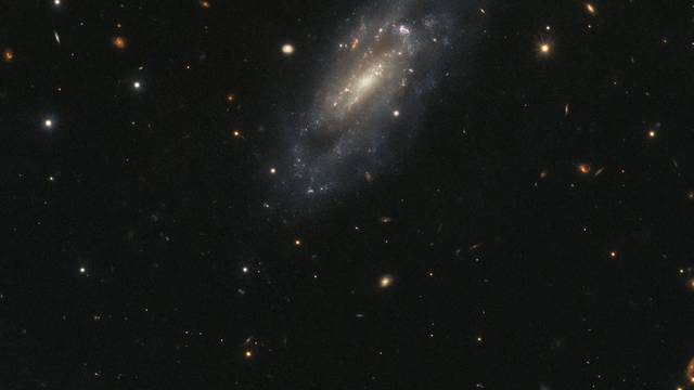 Hubble Observes a Stunning Spiral Galaxy UGC 11860