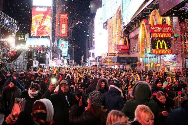 Revelers celebrate the New Year in Times Square in New York