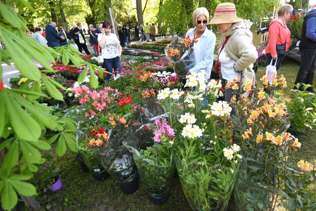 Daruvar: Sajam cvijeća, bilja i sadnica privukao mnogobrojne posjetitelje