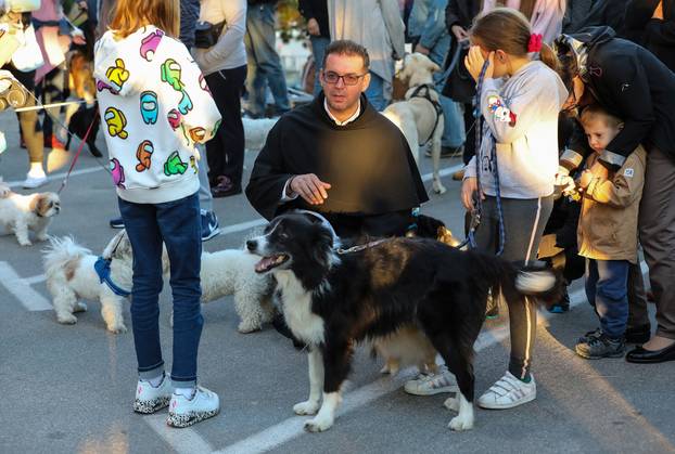 Zagreb: Blagoslov kućnih ljubimaca povodom svetkovine sv. Franje