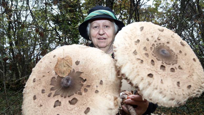 'Gljive mogu biti kobne. Spasila sam već najmanje 40 života... '