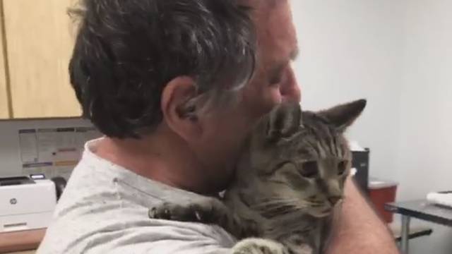Čovjek u suzama: Pronašli su macu koju je izgubio prije 7 g.