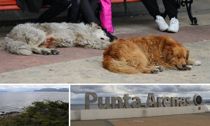 Vjetar nemilice dere, psi šeću i centrom, a napojnicu traže svi