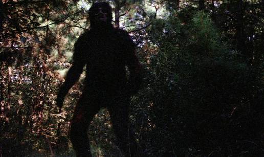 Panika u Ohiju, ljudi zovu da su ugledali Bigfoota! Stru&ccaron;njaci: 'Ovo nismo vidjeli 50 godina'