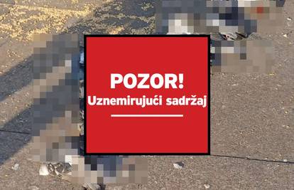 Golubove na Trgu bana Jelačića gazio vozač dostavnog vozila! Kaže, mislio je da će se maknuti
