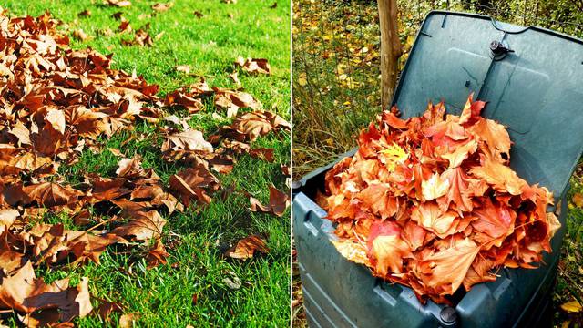 Kako početi kompostirati lišće i zašto to trebate stalno raditi?