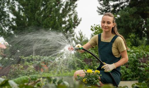 Radovi u vrtu u kolovozu: Sade se jagode, a skupljaju tikvice