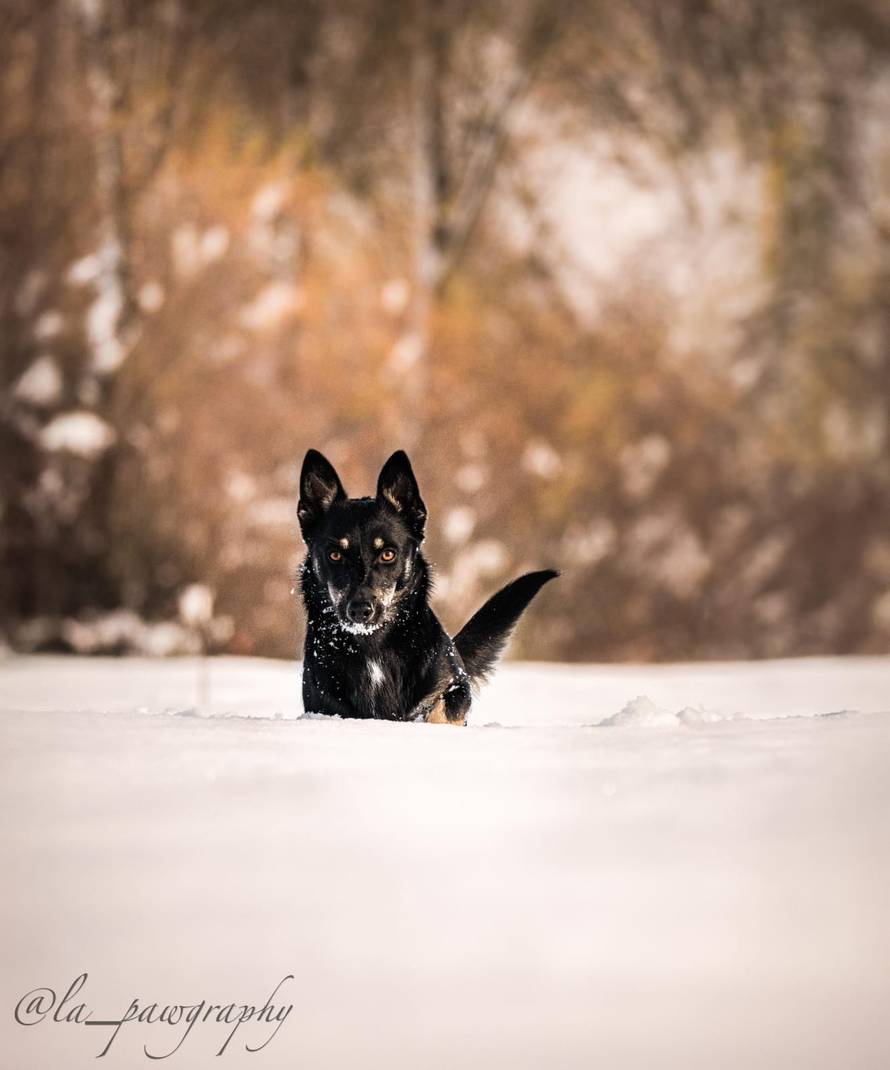 Općinska komunalka sama 'izlopatala' snijeg sa staze: 'Nema nikakve drame u tome'