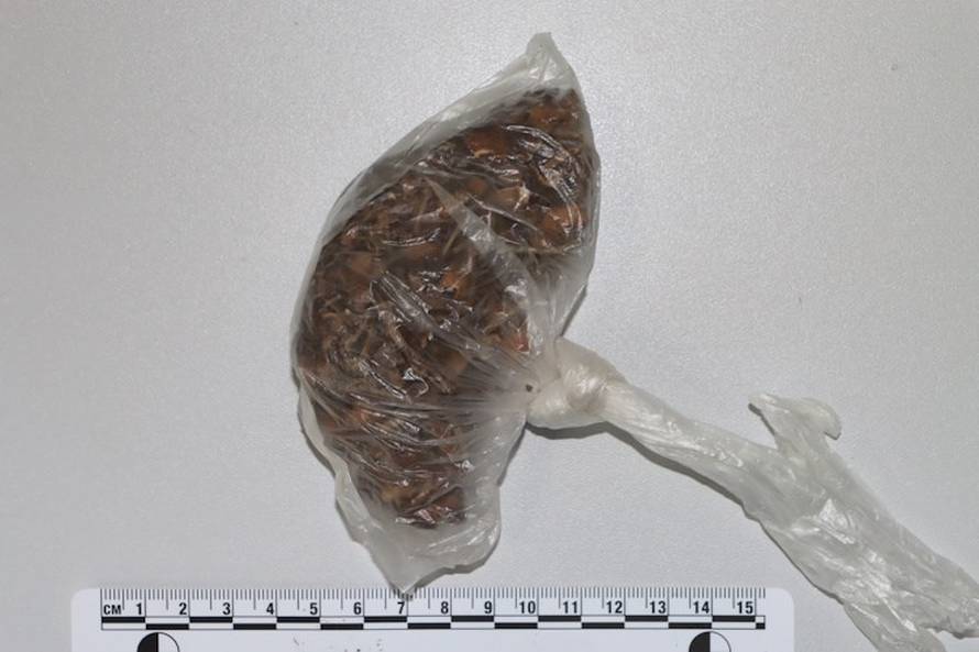 Dileri iz Zagreba kupovali drogu preko interneta. Stizala iz SAD-a