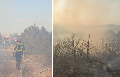 Čiovo: Izgorjelo 5000 kvadrata borove šume i niskog raslinja