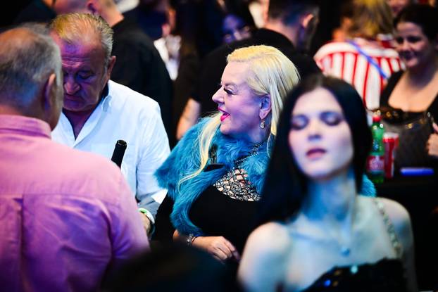 Zagreb: Koncert Ace Lukasa u Areni