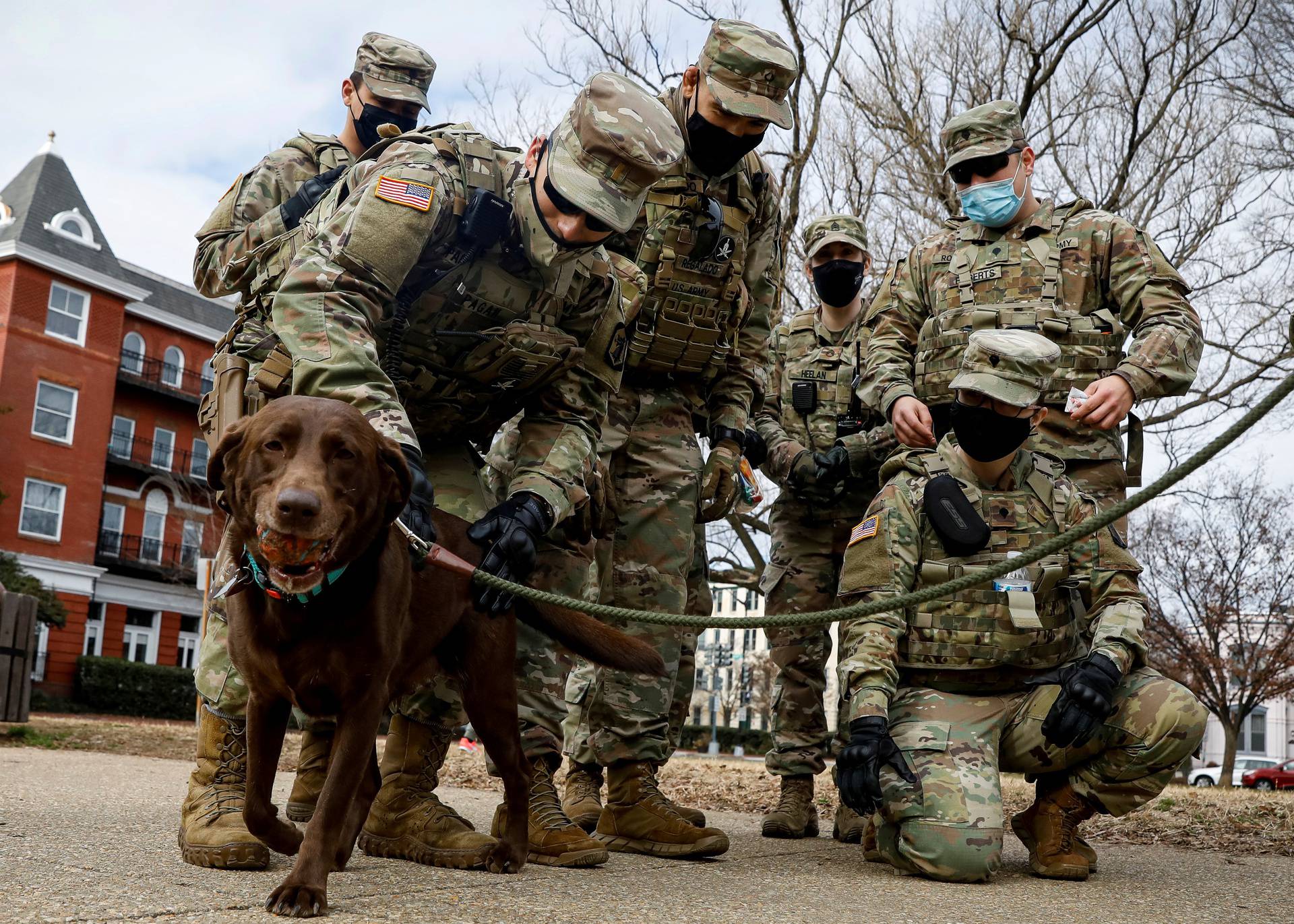 Members of the National Guard greet a dog while they spend time in Lincoln Park in Washington