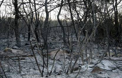 Učka: Vatrogasac ozlijeđen u gašenju 50 hektara šume