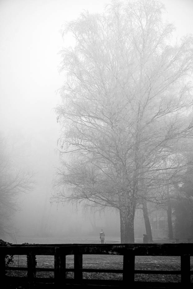 Zagreb: Gusta magla sakrila boje parka Maksimir