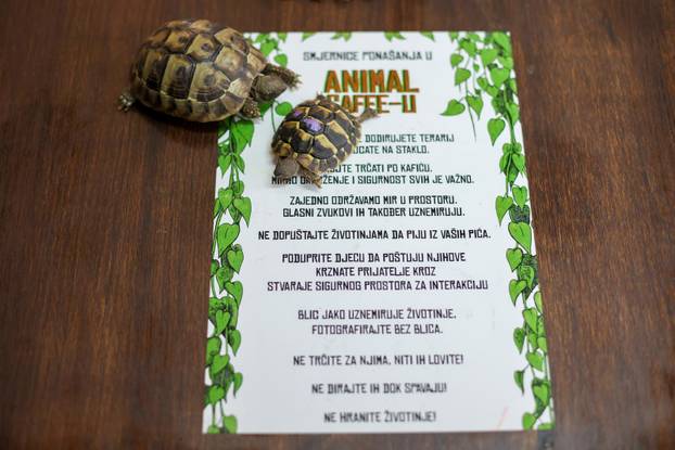 Zagreb: Emilija i Amer Alaydi otvorili su kafić Animal caffe